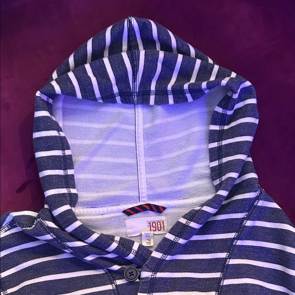Striped 1901 Blue and White Hoodie